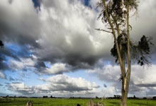 乐鱼体育APP下载-钢铁洪流对决亚平宁艺术！欧冠德国战车VS米兰王朝引爆赔率地震