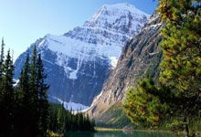 乐鱼体育登陆入口-阿尔艾因替补席深度成优势，冲击世俱杯冠军