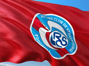 leyu乐鱼体育-帕尔梅拉斯调整进攻阵容，应对强力防守